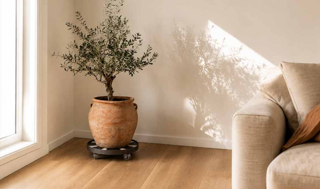 Plant Dolly 2-Pack